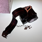 CEINTURE SCR AR GH / DR pour Mégane 4RS
