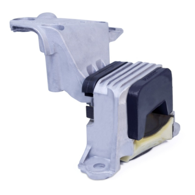 MONTAGE SILENT BLOC POWERFLEX DANS SUPPORT MOTEUR COTE DISTRI Pour Megane 3RS